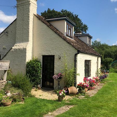 VerwoodChaseborough Farm住宿加早餐旅馆 外观 照片