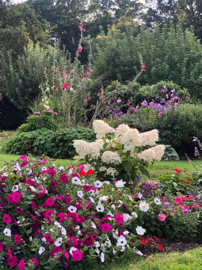 VerwoodChaseborough Farm住宿加早餐旅馆 外观 照片
