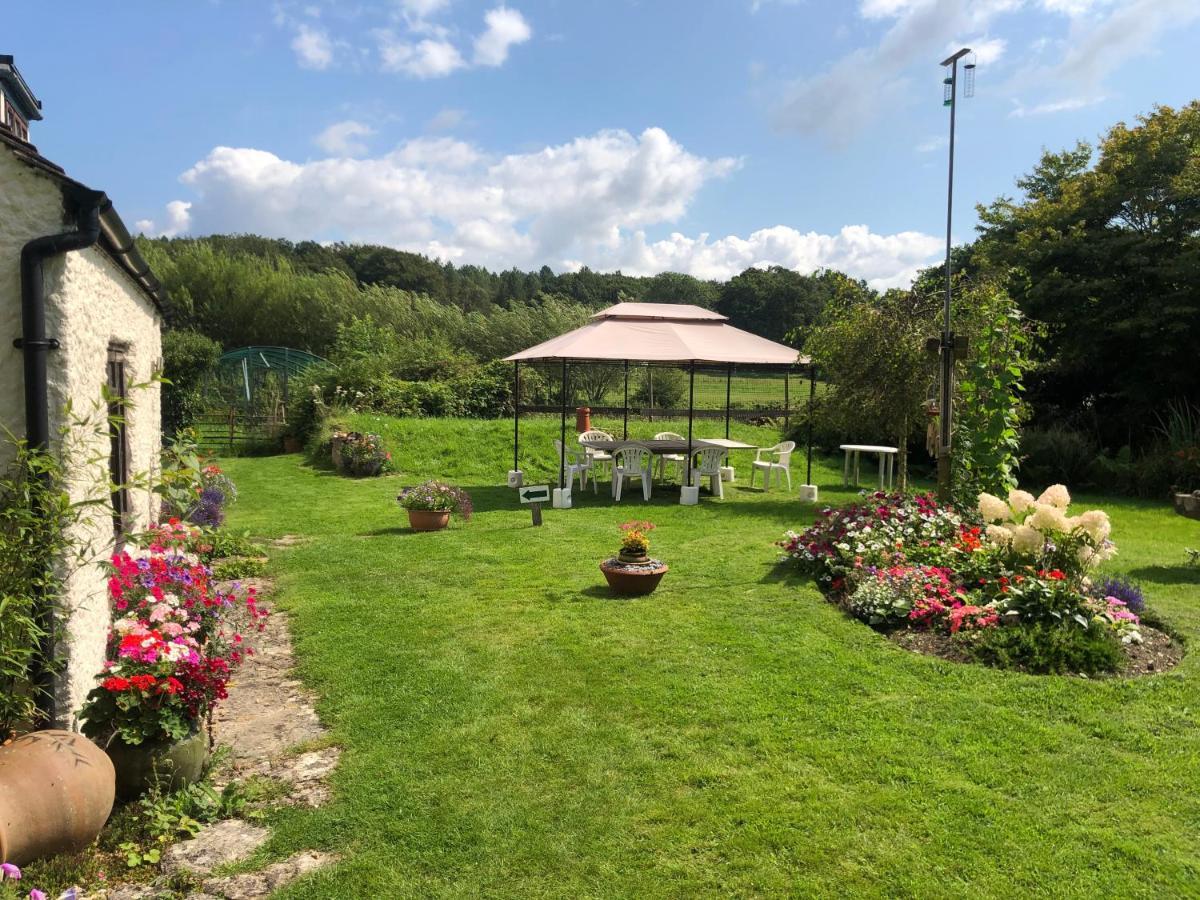 VerwoodChaseborough Farm住宿加早餐旅馆 外观 照片